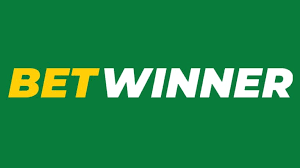 BetWinner Bookmaker Comprehensive Review and Insights